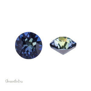 1088 Chaton SS39 – Sahara (#001SAH)