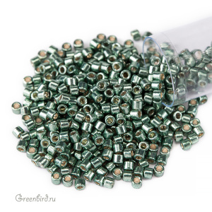 Бисер MIYUKI Delica Duracoat 10/0 (#1845), 4,5 г
