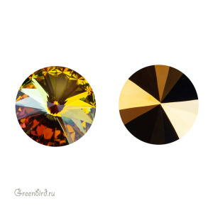1122_14mm_001_golden_sahara_Ashley_big
