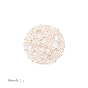 890068 Кристальная ткань Galuchat 20 мм – Transparent/Golden Shadow (#010/001GSHA)