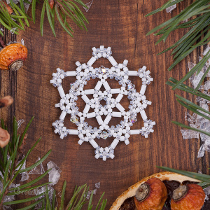 PDF схема Снежинка #17