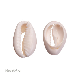 Бусина-ракушка "Каури", 1 шт. (#SVA-SHLB-01)