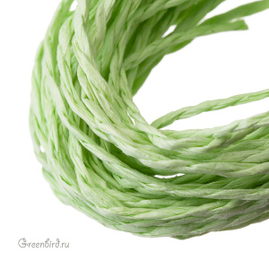 Крученая рафия, 2 мм, светло-зеленый матовый (#4285) Крученая рафия, 2 мм, светло-зеленый матовый (#4285)
