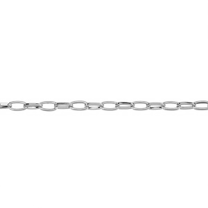 SVA-Chain-101R
