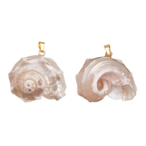 Подвеска "Ракушка" 25-30 мм натуральная, 1 шт. (#SVA-BASE-159)