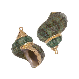 Подвеска "Ракушка" 25-35 мм натуральная, золото, зеленый, 1 шт. (#SVA-BASE-149)
