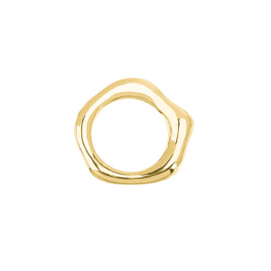 Подвеска "Кольцо", золото, 1 шт. (#SV1701-Pendant-143G)