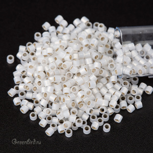 MIYUKI Delica 10/0 (#221)