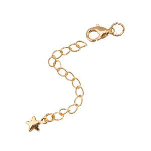 Замок-лобстер 10 мм с удлинителем "Звездочка", золото, 1 шт. (#SV1701-JS-14G)