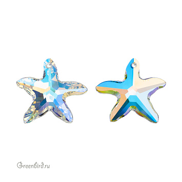 #6721 Starfish #6721 Starfish