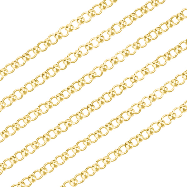 SVA-Chain-107G_ SVA-Chain-107G_