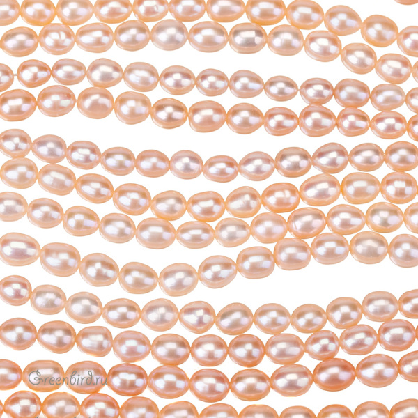 _SV1701-2636_1_big _SV1701-2636_1_big