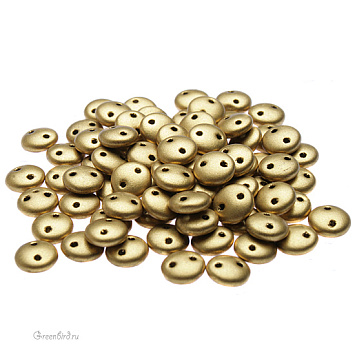CzechMates Lentil