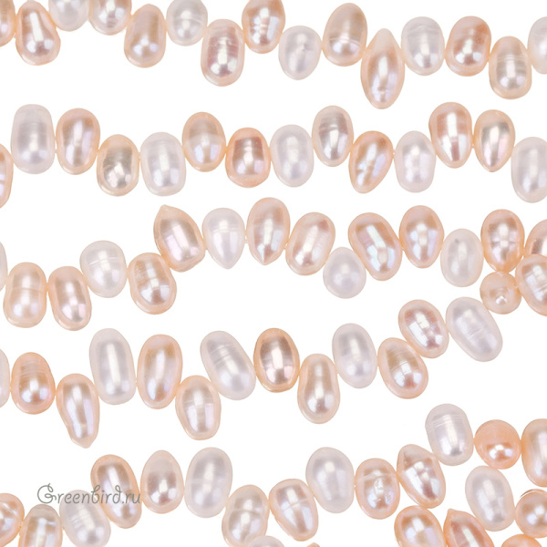 _SV1701-2957_1_big _SV1701-2957_1_big