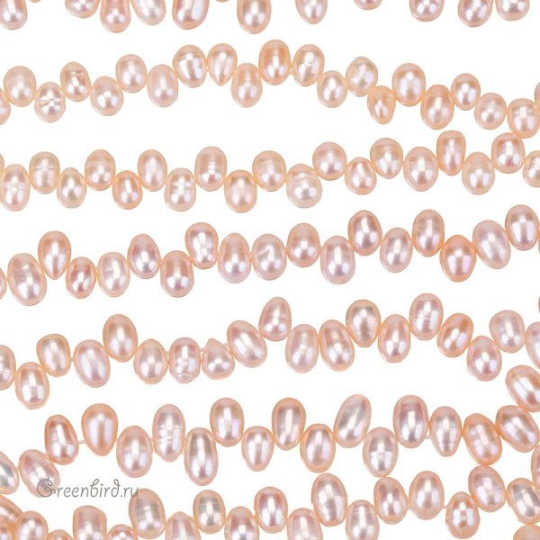 _SV1701-2755_1_big _SV1701-2755_1_big