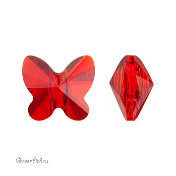 #5754 Бабочки #5754 Бабочки