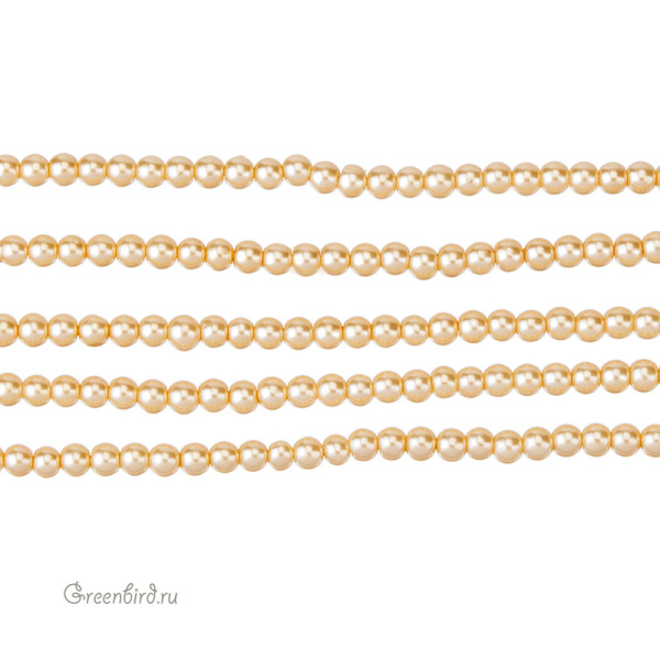 CBPRL-27-5- CBPRL-27-5-