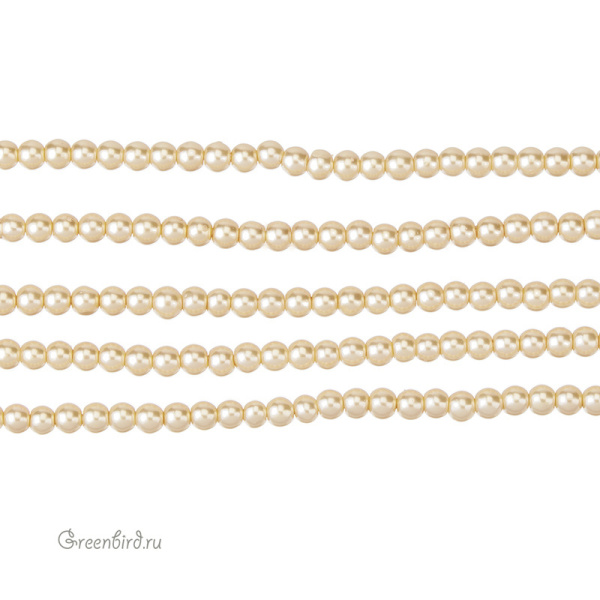 CBPRL-33-5- CBPRL-33-5-