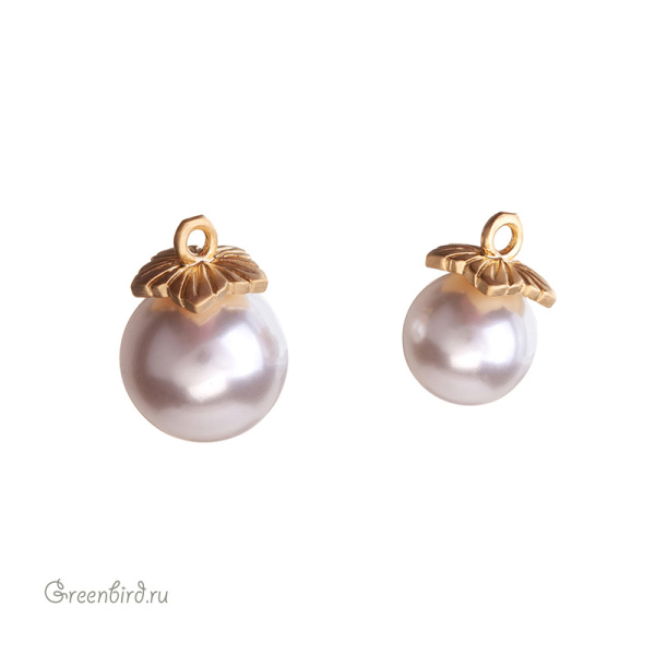 E1023_1_big E1023_1_big