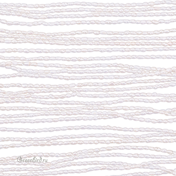 SV1701-2530-1 SV1701-2530-1